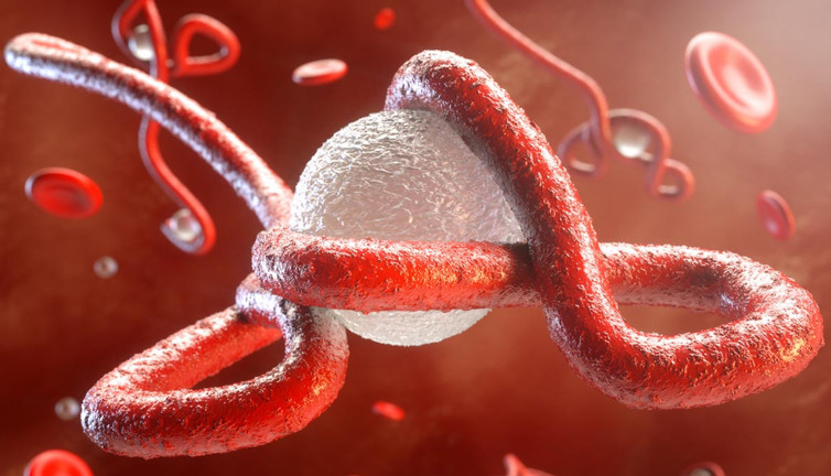 DSÖ açıkladı: Salgın nedeniyle 35 kişi hayatını kaybetti