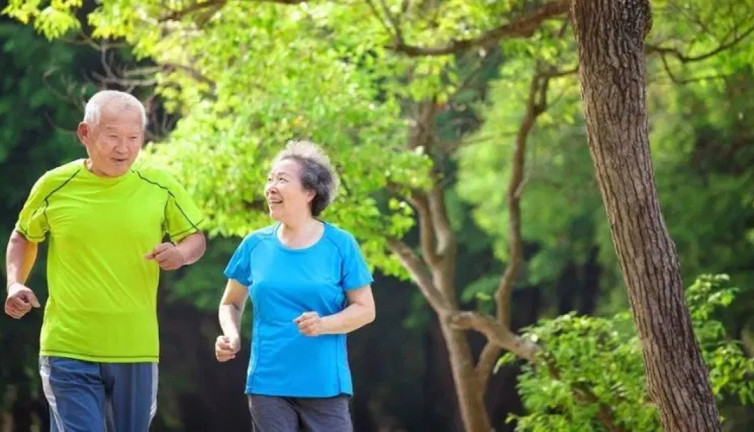 Japonların yüzyıllık şifresi! Uzmanlar anlattı