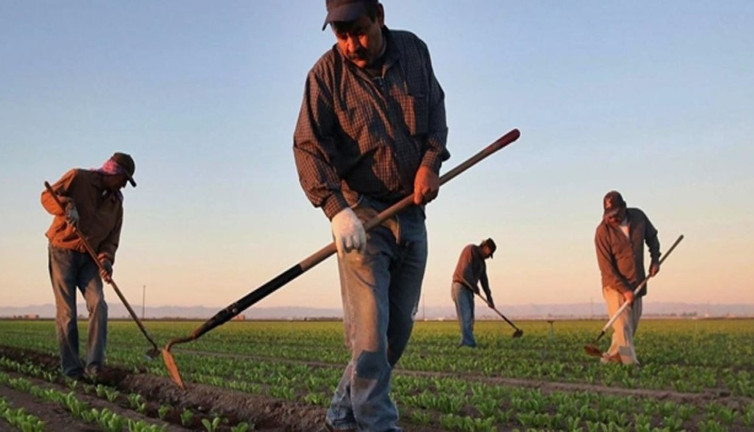 Bakanlık duyurdu. Bugün hesaplara yatırılacak!