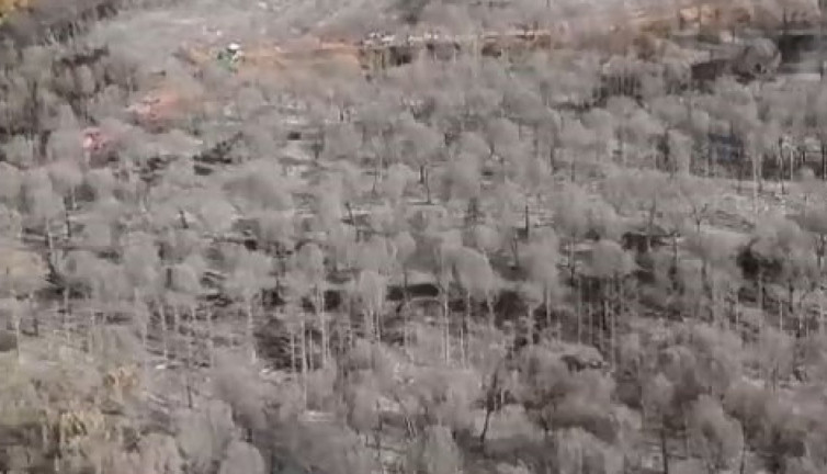 Bursa'da küle dönen ormanlık alan havadan görüntülendi