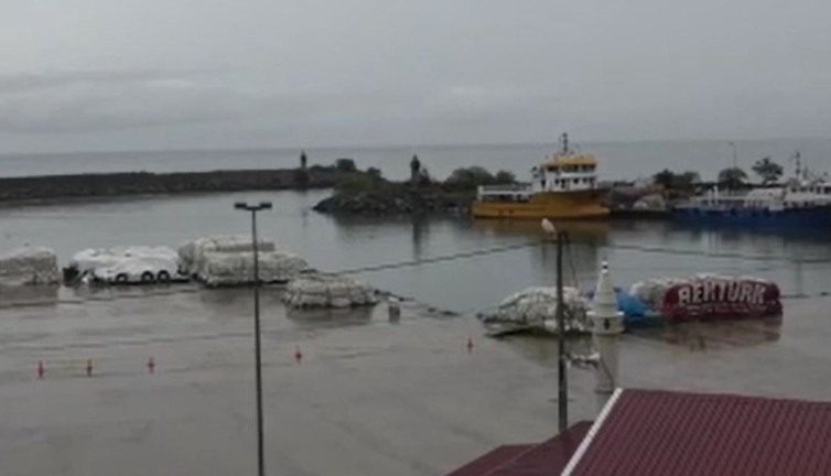 Sahile çekildi SAT komandoları alarma geçti. Trabzonlu balıkçılar denizin ortasında buldu