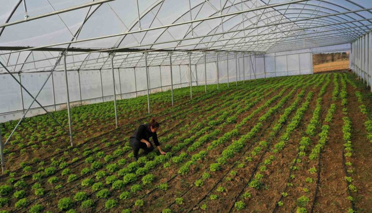 Çiftçilere yüzde 50 hibe desteği!