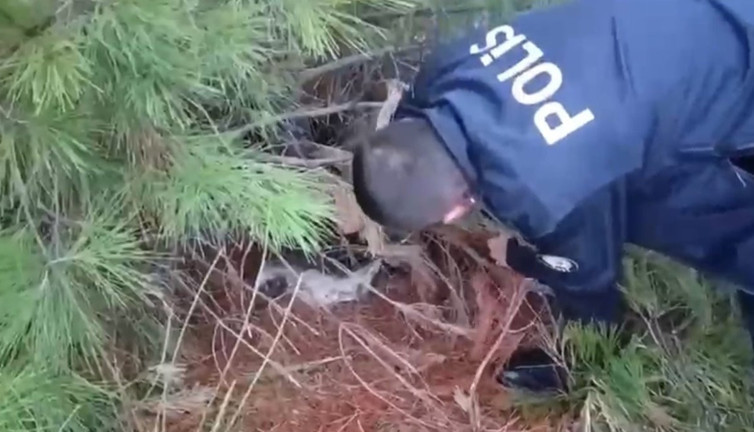 Bıldırcın avcısına polis tuzağı