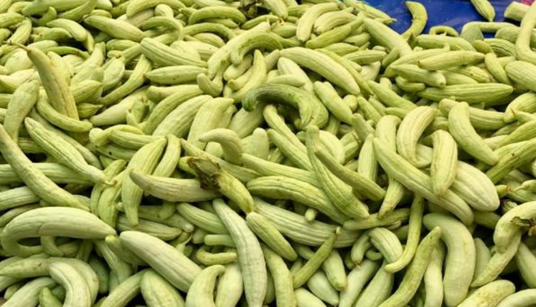 Gözden kaçan şifa kaynağı olan acurun bilimsel sırları ortaya çıktı