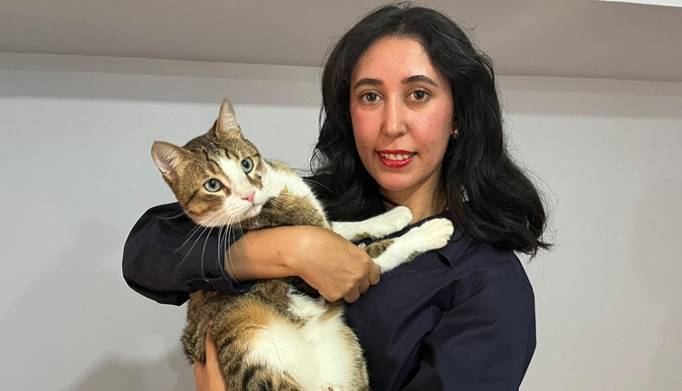 Uçakta kedi krizi! Türk diplomat ve eşi şikâyetçi oldu