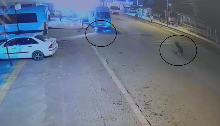 Hatay'da akılalmaz kaza! Kask hayat kurtardı: Minibüsün altına böyle girdi