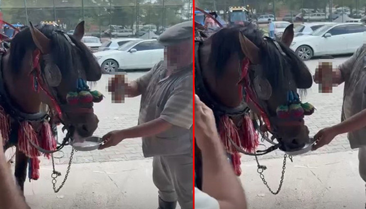 Sünnet çocuğunu taşıyan at alkolik çıktı! Görenler gözlerine inanamadı