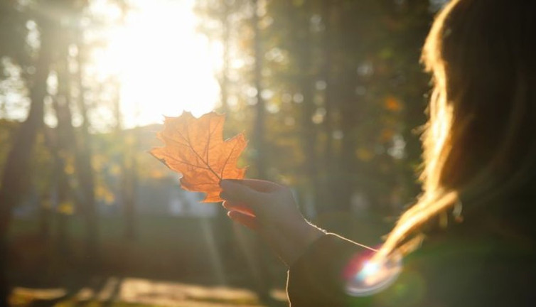 Sonbahar ve kış aylarında D vitaminiyle ilgili kritik uyarılar! Uzmanlardan güneş önerileri
