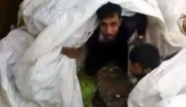 Lahanaların altından Afganlı kaçaklar çıktı