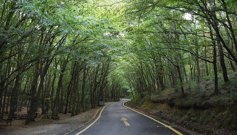 Bartın'da piknikçilere müjde! Yasak sona erdi: Bartın Valiliği duyurdu