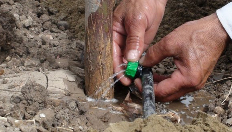 Çiftçinin elektrik ve su borcu tarımsal destekten kesilecek