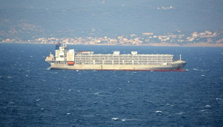 Şarbonlu hayvanları getiren gemi ile ilgili önemli iddia