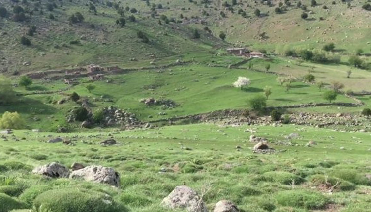 Hazine arazisi kiralayamayan köylü işsiz kaldı