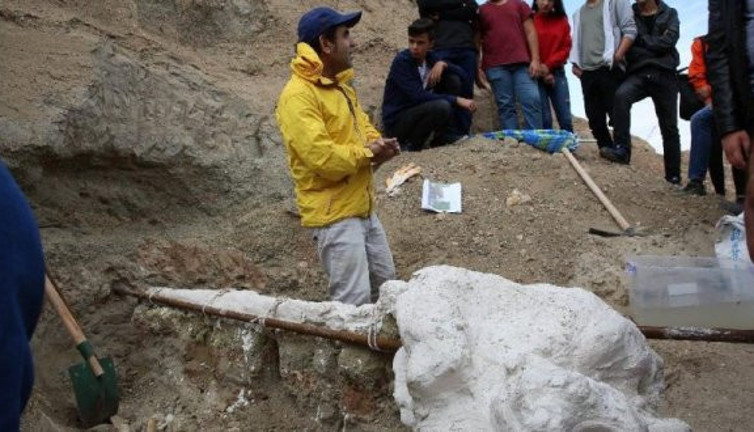 7,4 milyon yıllık hayvan fosili bulundu