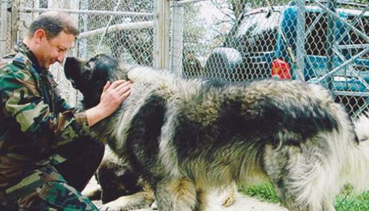 FETÖ kumpasıyla görevden alınmıştı: Göreve iade bekliyor