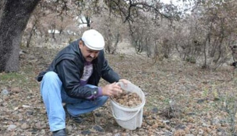 Muhtar'ın girişimiyle 40 bin liralık gelir sağlandı