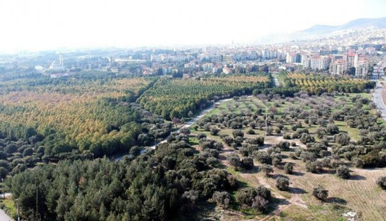 Erdoğan talimat verdi: Koruluk millet bahçesi oluyor