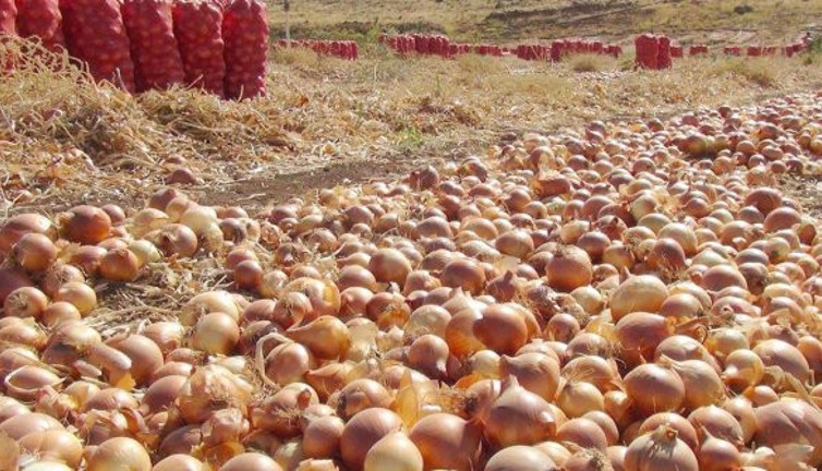 CHP'li Gökçel: “Hükümet ithalat ekip kriz biçiyor”