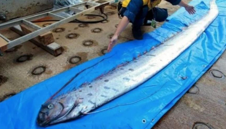 Denizin dibinden depremin habercisi mi çıktı?