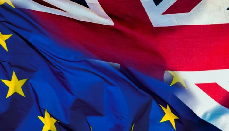 Türkiye'nin İngiltere'ye ihracatı Brexit nedeniyle tehlikede