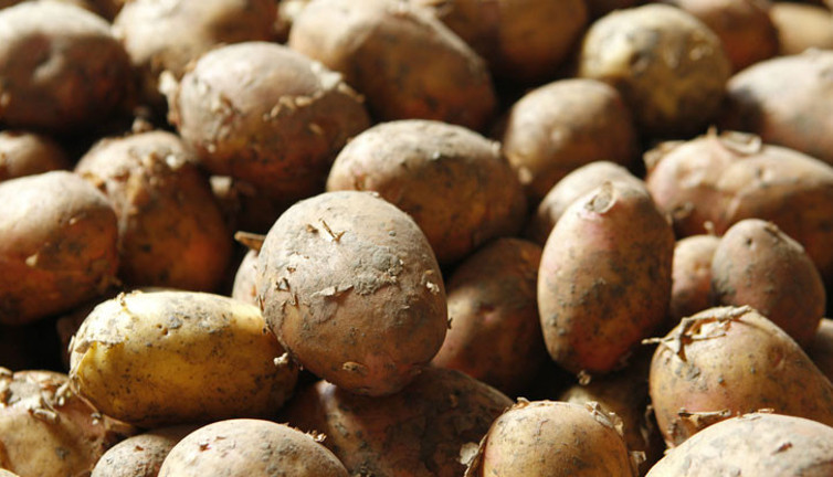 Türkiye patates fiyatı artışında dünya ikincisi (19 Nisan 2019)