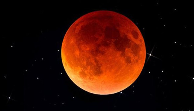 Hayvanlar, Güneş ve Ay tutulmalarında neden garip davranıyor?