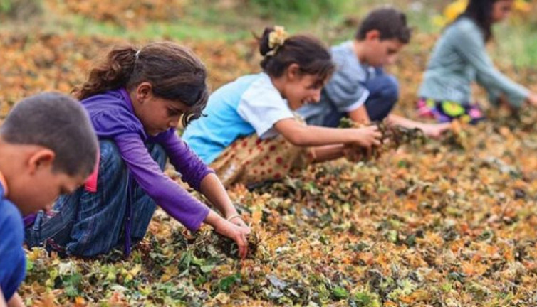 Babalar işsiz, çocuklar işçi!