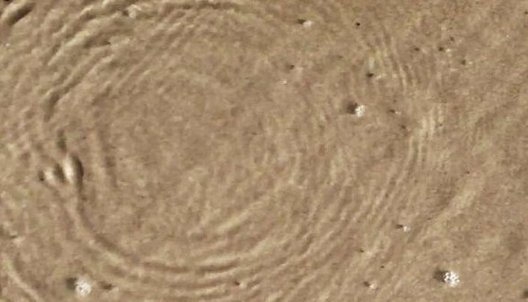 O teori 127 yıl sonra çürütüldü