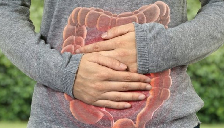 "Serotonin üretiminin yüzde 90'ı bağırsaklarda"