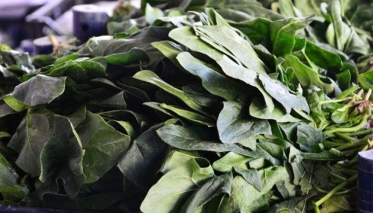 Ispanak zehirlenmelerine ilişkin açıklama yapıldı