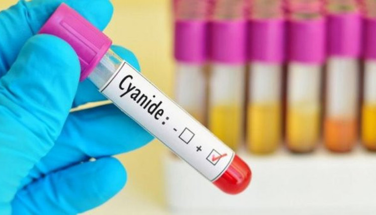 Neşet Kadırgan: "Siyanür üç ay önce internette satılıyordu"