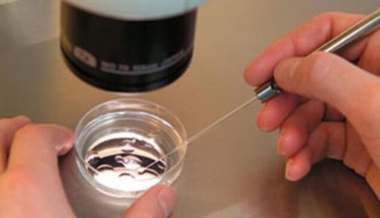 'Kısırlığa son' lafını duydunuz mu, kaçacaksınız!