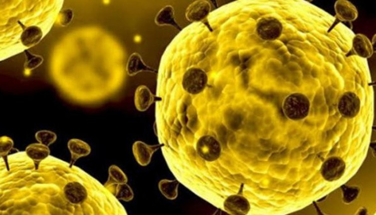 Coronavirüsünde dünyayı dehşete düşüren rekor!