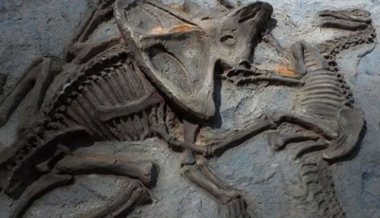 66 milyon yıllık dinozor fosilinde kanser teşhisi!