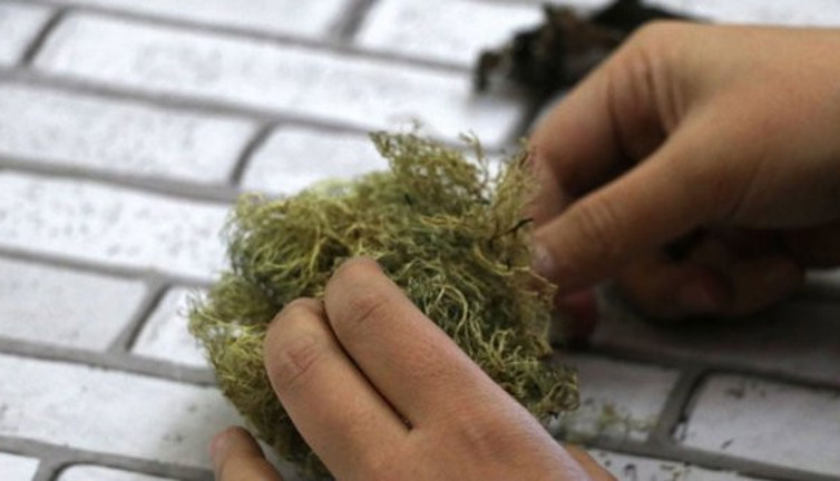 Prof. Dr. Gökhan Halıcı: "İklim değişikliği Antarktika'yı yeşillendiriyor"