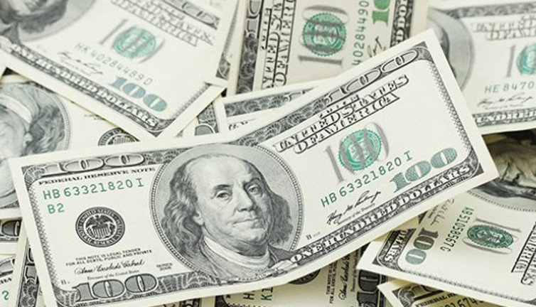 Firmaların döviz borcu 225,5 milyar dolar