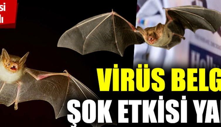 İngiliz Daily Maily'in ortaya çıkardığı korona virüs belgeleri şok etkisi yarattı