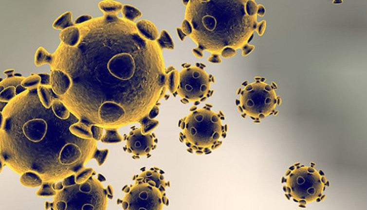 Bilim Kurulu üyesinden flaş iddia: 'Sıcaklık virüsü engelliyor tezi çöktü'