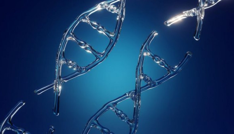 Herkesin bildiği ama kanıtlayamadığı konu: İnsan genleri hakkında çok konuşulacak araştırma