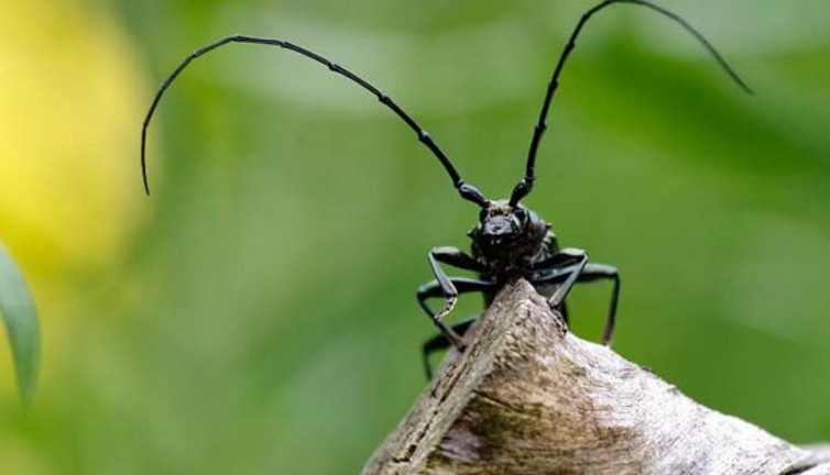 İnsanlığa kritik uyarı: Öldürmeniz, kendinize zarar vermeniz ile eşit