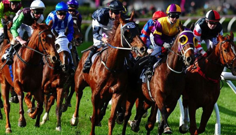 Atlar start hakemi emrine girdi