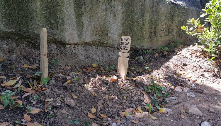 Bebek mezarı bilmecesi