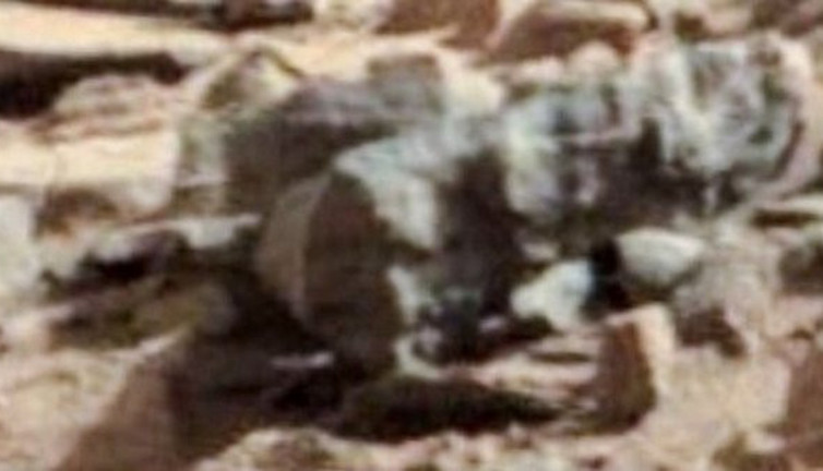 ABD’li Entomolog’tan bilim dünyasını sarsacak iddia: Mars’ta devasa böcekler var!