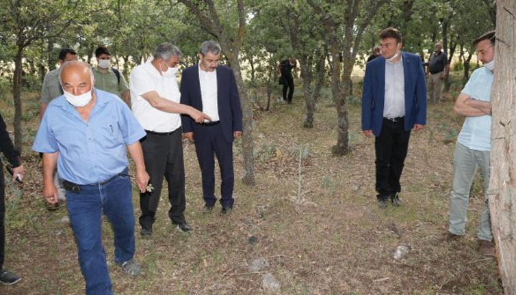 Denizli'de yakılarak öldürülen 83 Türk'ün mezarı bulundu