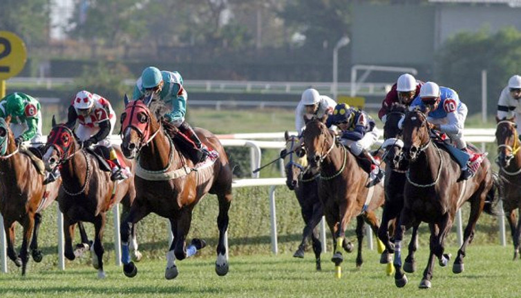 İstanbul'da bu atlardan biri bile kazanırsa...