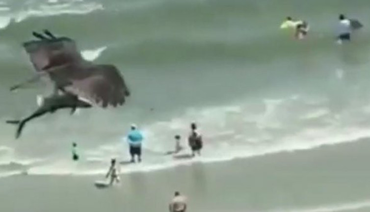 Kartal pençeleriyle köpek balığını böyle avladı