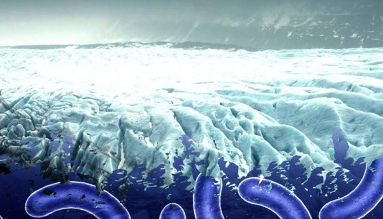 Yıllar sonra yeniden gündeme geldi! Buzullar eriyor sonumuz geliyor