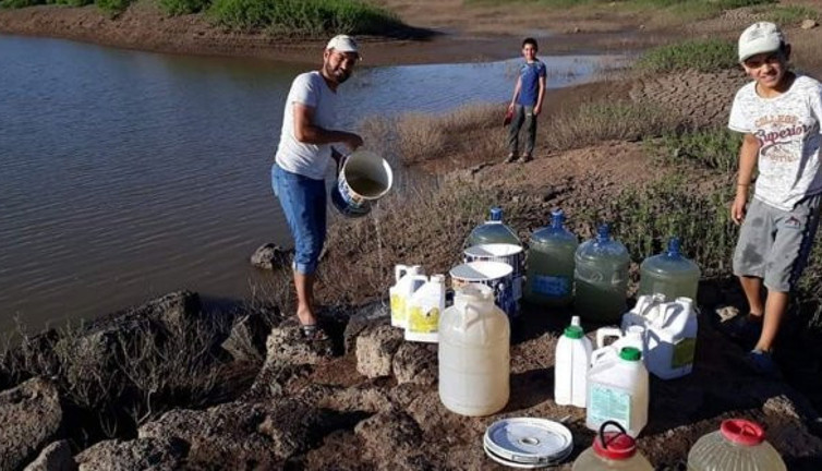 Bir korona vurdu bir fatura: Onlarca hayvan susuzluktan telef oldu