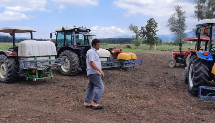 14 boğayı kene öldürdü