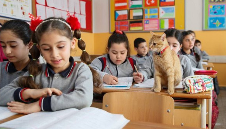 Milli Eğitim Bakanlığı’nın masasındaydı: Bilim Kurulu üyesi açıkladı, korona virüs eğitim sistemini değiştiriyor